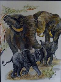 Elefantenherde verkauft